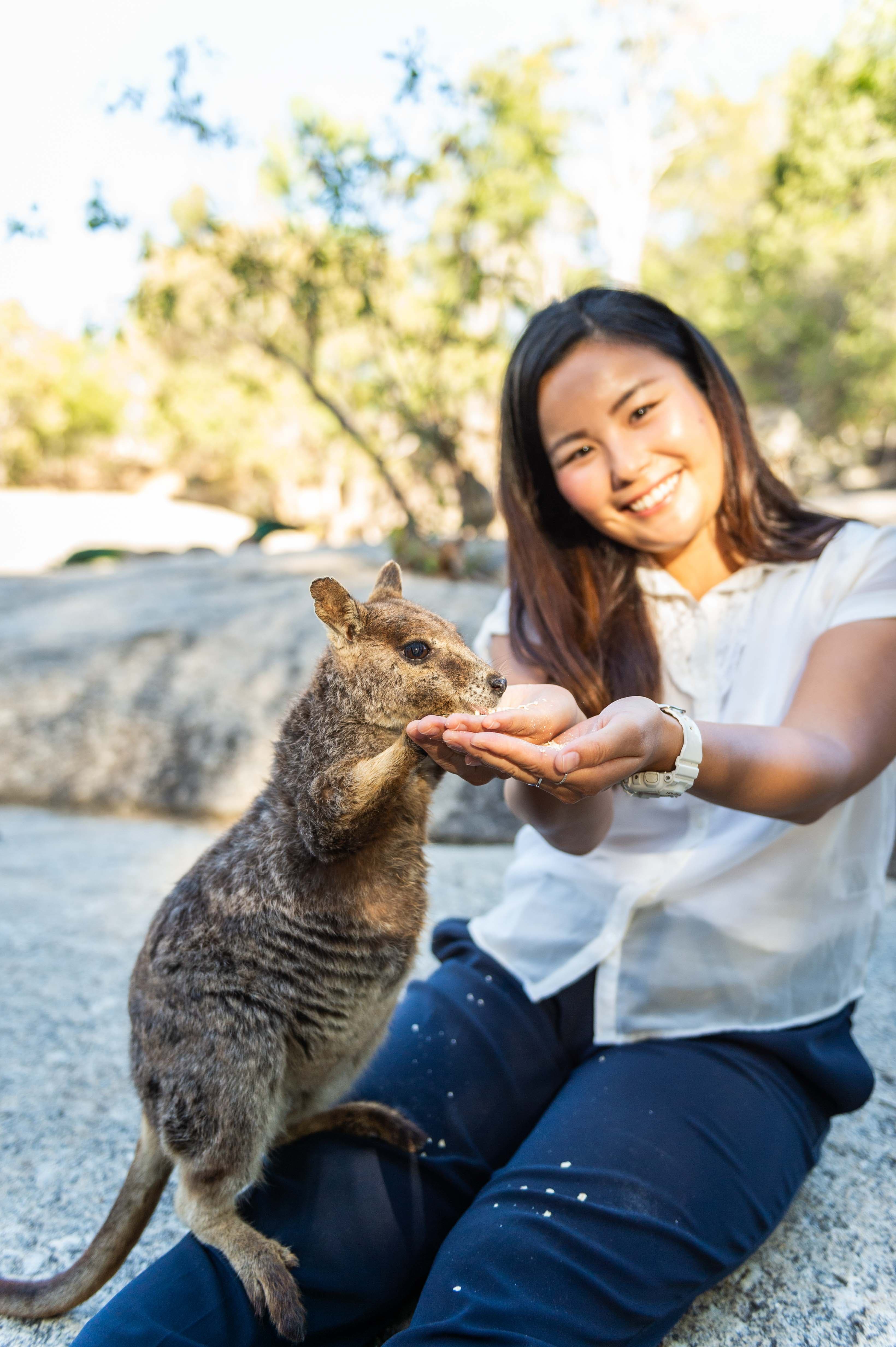 wallaby